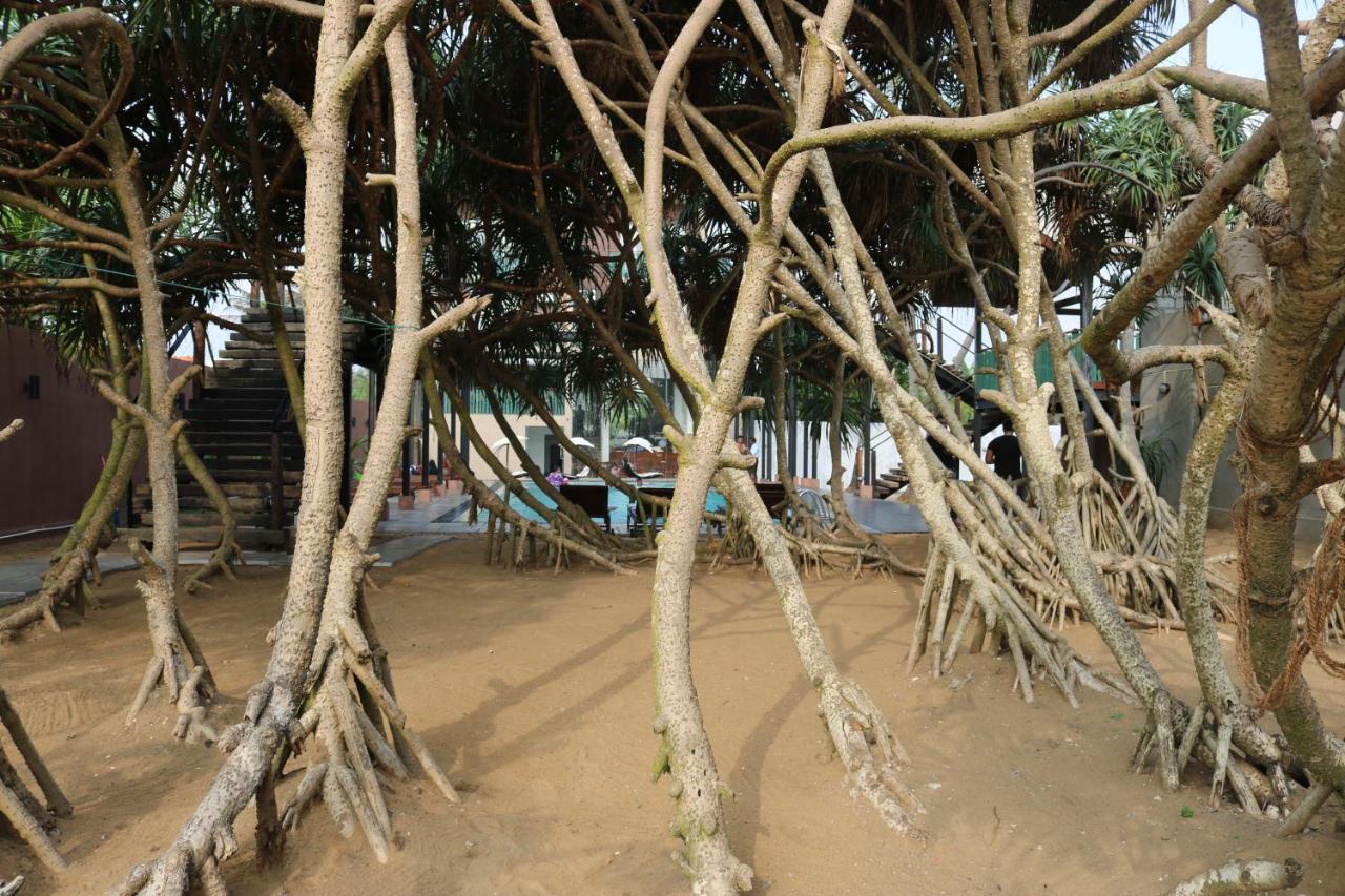Saprin Beach Resort Uswetakeiyawa Eksteriør billede
